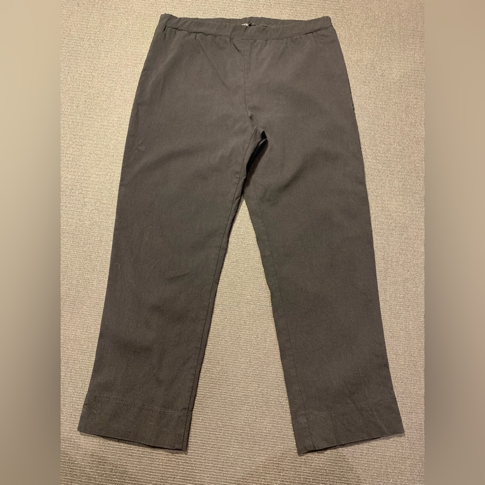 Clara Sun Woo Pull On Ankle Pants Black Size Large